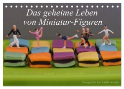 Cover-Bild zum Titel 'Das geheime Leben von Miniatur-Figuren (Tischkalender 2026 DIN A5 quer), CALVENDO Monatskalender' von 'Ulrike Schäfer'