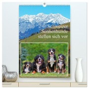 Cover-Bild zum Titel 'Schweizer Sennenhunde stellen sich vor (hochwertiger Premium Wandkalender 2026 DIN A2 hoch), Kunstdruck in Hochglanz' von 'Sigrid Starick'