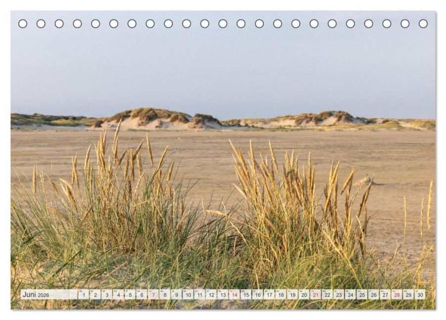 InsideView 11
