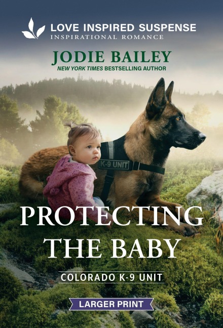 Protecting the Baby - Jodie Bailey