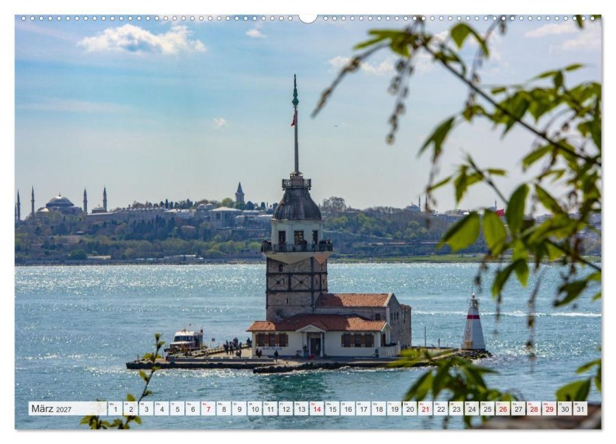 InsideView 8