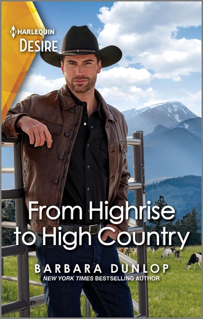From Highrise to High Country - Barbara Dunlop