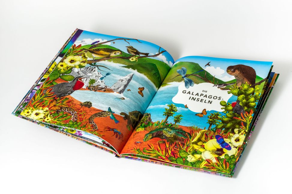 InsideView 10