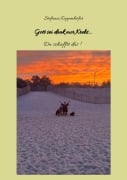 Cover-Bild zum Titel 'Gott sei dank nur Krebs' von 'Stefanie Koppenhöfer'