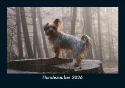 Cover-Bild zum Titel 'Hundezauber 2026 Fotokalender DIN A5' von 'Tobias Becker'