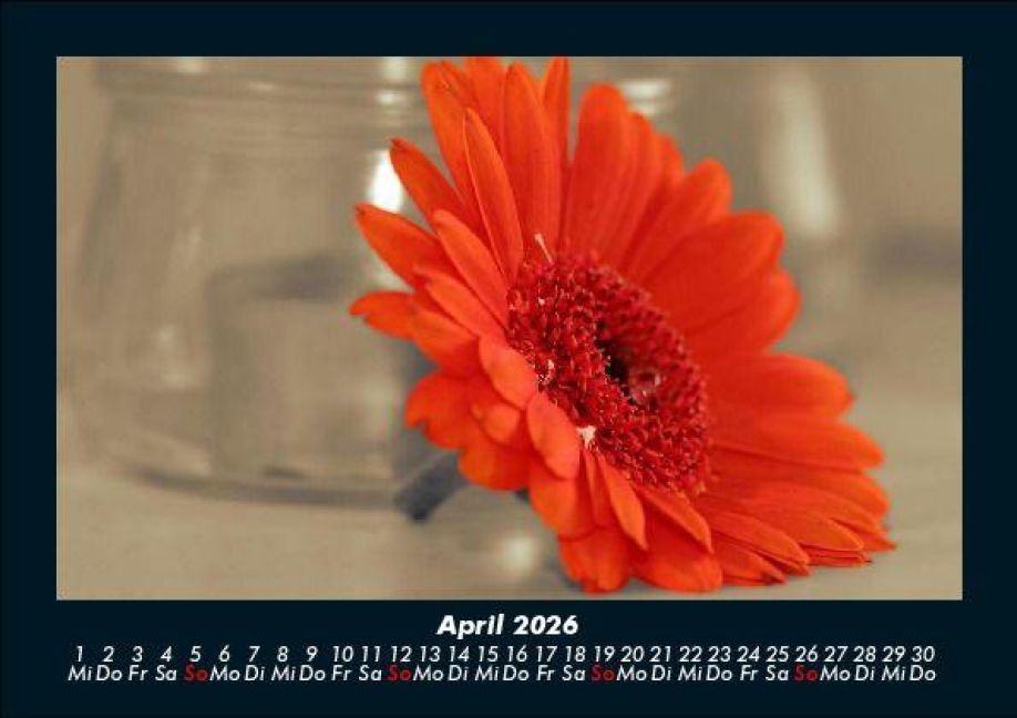 InsideView 8