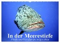 In der Meerestiefe. Fische und Korallen im ewigen Blau (Wandkalender 2025 DIN A2 quer), CALVENDO Monatskalender - Elisabeth Stanzer
