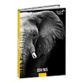 Schülerkalender FORUM DE Tiere Elefant 2024/2025 - 