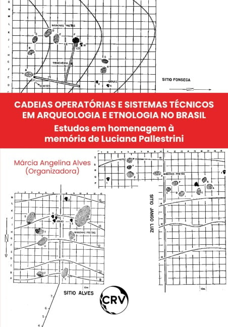 Cadeias operatórias e sistemas técnicos em arqueologia e etnologia no Brasil - Márcia Angelina Alves