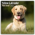 Yellow Labrador Retriever - Gelber Labrador 2025 - 16-Monatskalender - Avonside Publishing Ltd