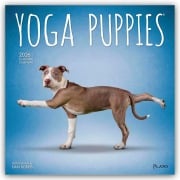 Yoga Puppies - Welpen Yoga 2026 - 16-Monatskalender - Browntrout Publishers