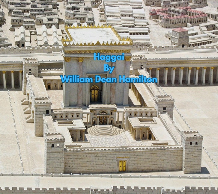 Haggai (Biblical Interpretation, #10) - William Dean Hamilton