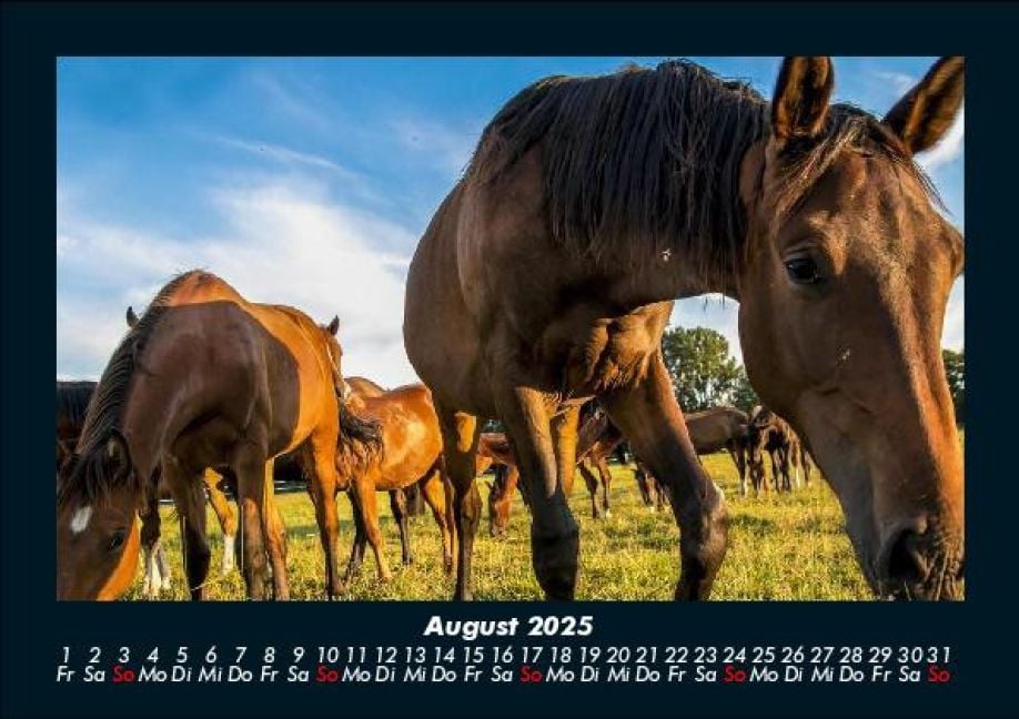 InsideView 12