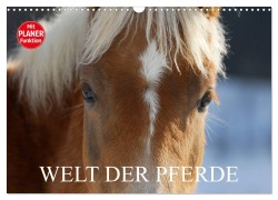 Cover-Bild zum Titel 'Welt der Pferde (Wandkalender 2026 DIN A3 quer), CALVENDO Monatskalender' von 'Sigrid Starick'