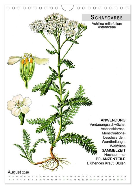 InsideView 13