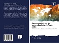 Cover-Bild zum Titel 'De complexiteit van de toeleveringsketen in West-Afrika' von 'Patrick Opono'