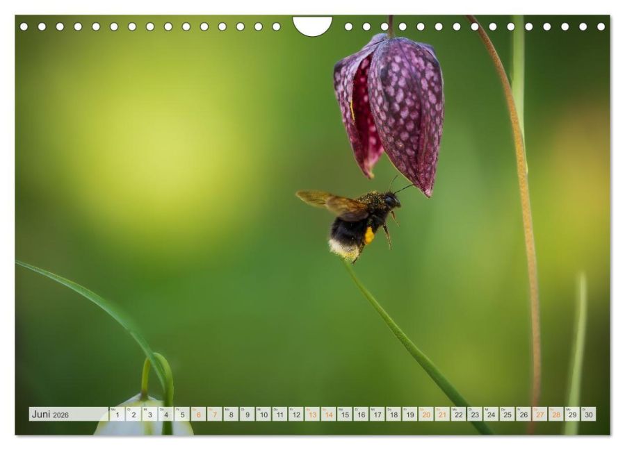 InsideView 11