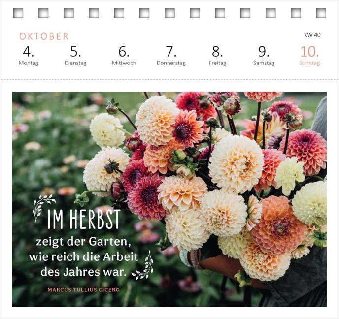 InsideView 6