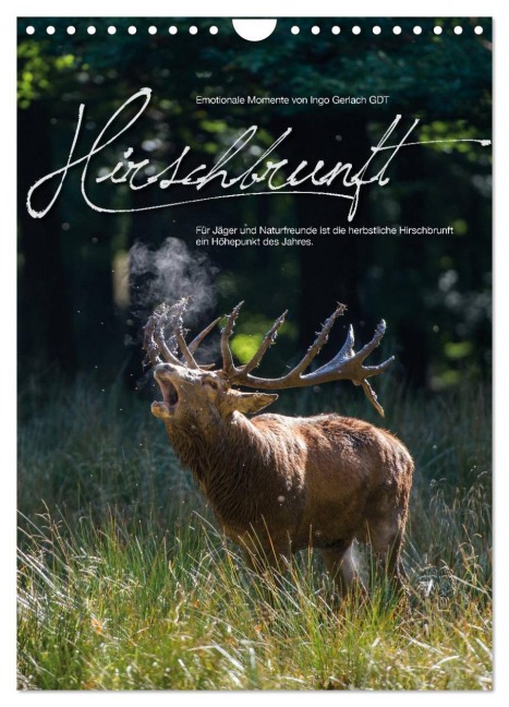Emotionale Momente: Hirschbrunft (Wandkalender 2026 DIN A4 hoch), CALVENDO Monatskalender - Ingo Gerlach GDT