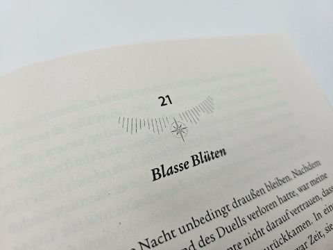 InsideView 6