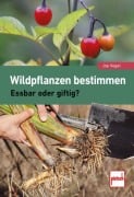 Cover-Bild zum Titel 'Wildpflanzen bestimmen' von 'Joe Vogel'