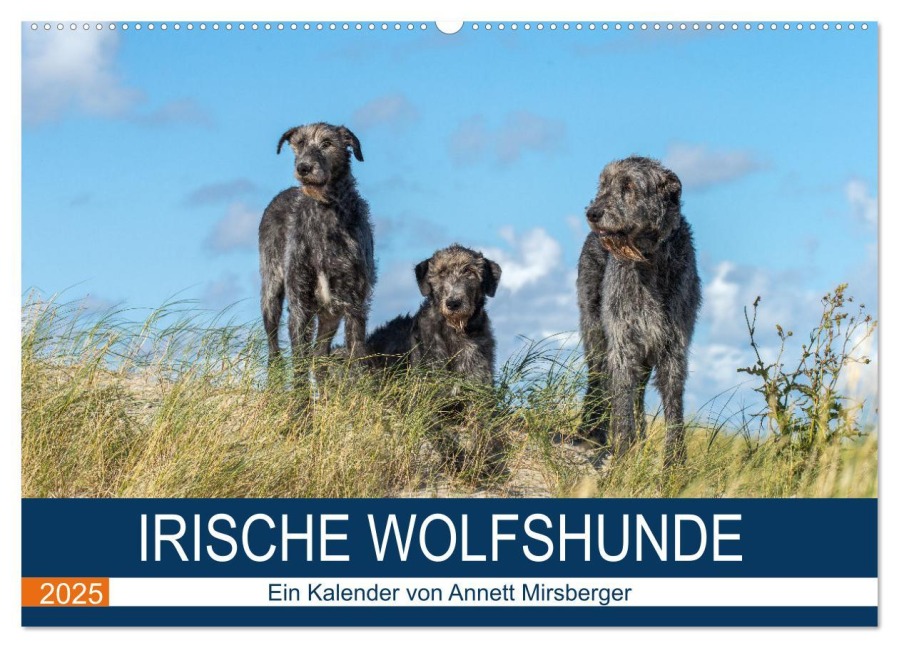 Irische Wolfshunde (Wandkalender 2025 DIN A2 quer), CALVENDO Monatskalender - Annett Mirsberger