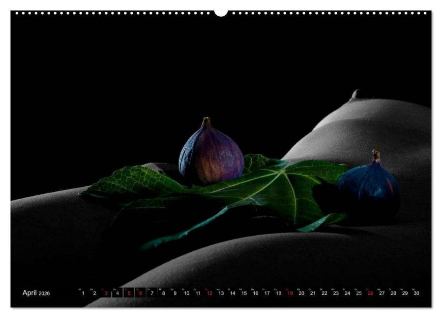 InsideView 8