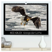 Cover-Bild zum Titel 'Seeadler - Könige der Lüfte (hochwertiger Premium Wandkalender 2026 DIN A2 quer), Kunstdruck in Hochglanz' von 'Thomas Schwarz Fotografie'