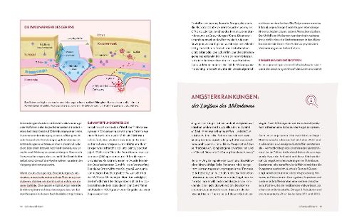 InsideView 1