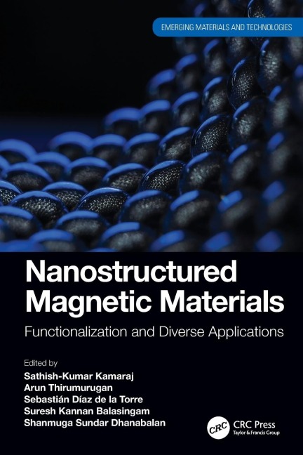 Nanostructured Magnetic Materials - 