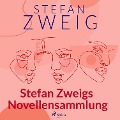 Cover-Bild zum Titel 'Stefan Zweigs Novellensammlung' von 'Stefan Zweig'