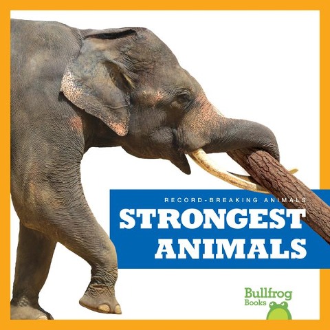 Strongest Animals - Lily Austen
