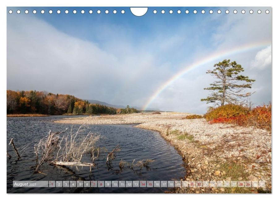 InsideView 13