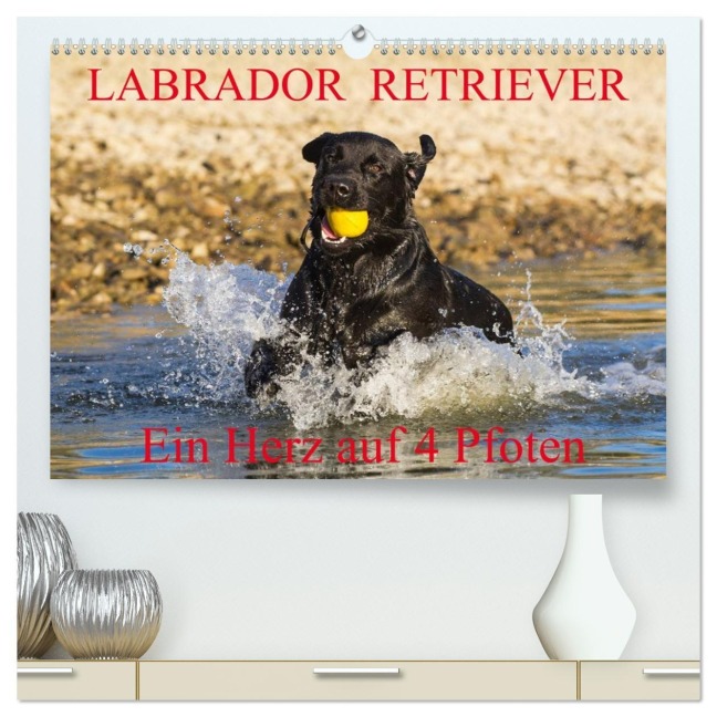 Labrador Retriever - ein Herz auf 4 Pfoten (hochwertiger Premium Wandkalender 2026 DIN A2 quer), Kunstdruck in Hochglanz - 