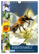 Cover-Bild zum Titel 'INSEKTENWELT - Heimische Nützlinge ganz nah (Wandkalender 2026 DIN A4 hoch), CALVENDO Monatskalender' von 'Andrea Dreegmeyer'