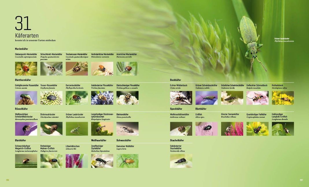 InsideView 22