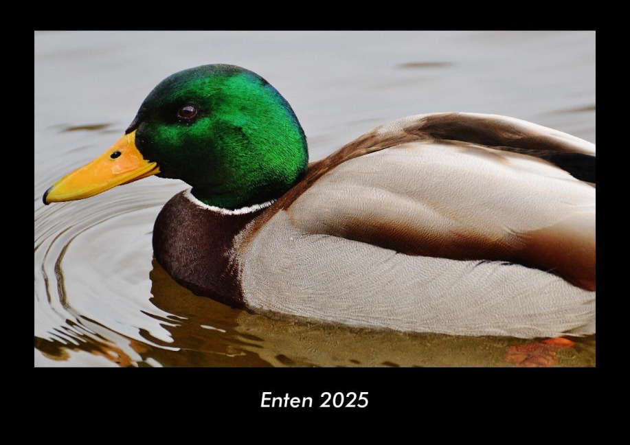 Enten 2025 Fotokalender DIN A3 - Tobias Becker