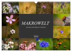 Makrowelt - Blumen und Insekten im Fokus (Wandkalender 2025 DIN A3 quer), CALVENDO Monatskalender - Simone Mairhofer