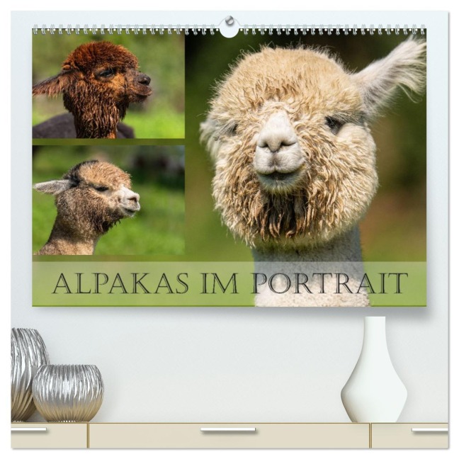 Alpakas im Portrait (hochwertiger Premium Wandkalender 2026 DIN A2 quer), Kunstdruck in Hochglanz - Monika Scheurer