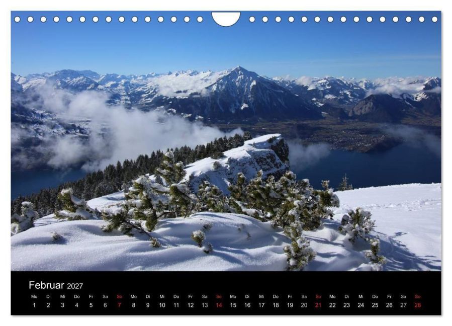 InsideView 7