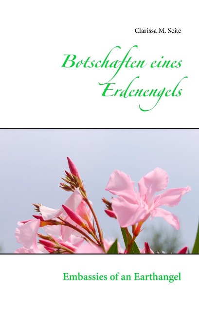 Botschaften eines Erdenengels - Clarissa M. Seite