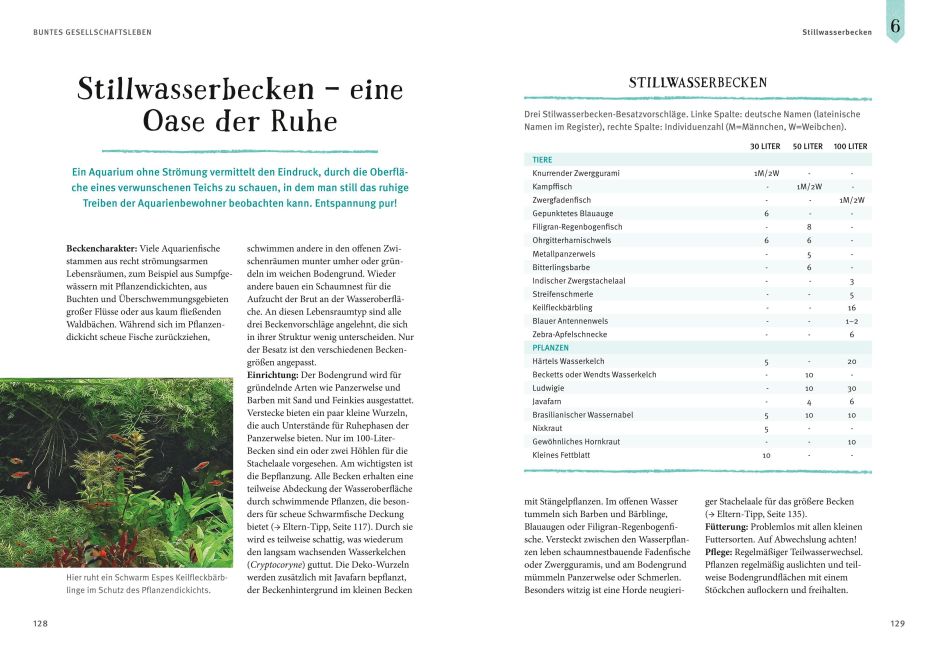 InsideView 11