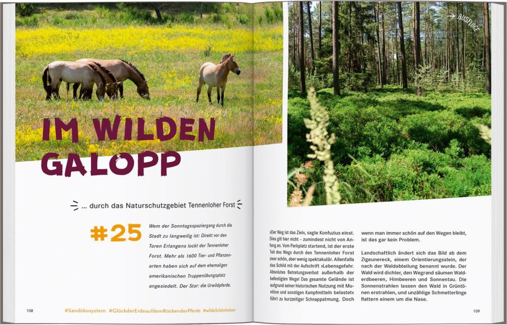 InsideView 8