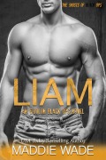 Cover-Bild zum Titel 'Liam (Eidolon, #4)' von 'Maddie Wade'