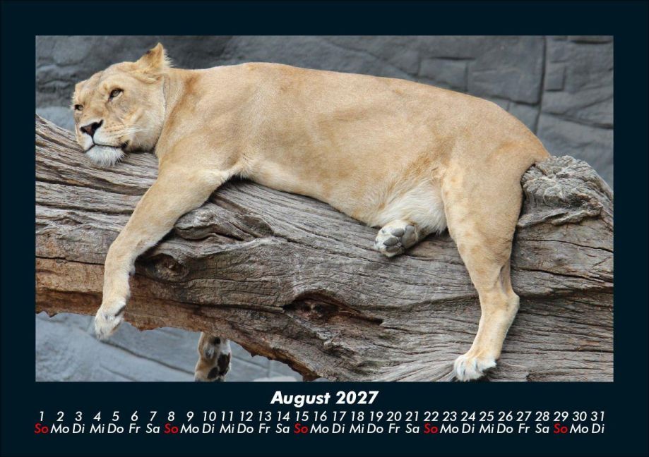 InsideView 12