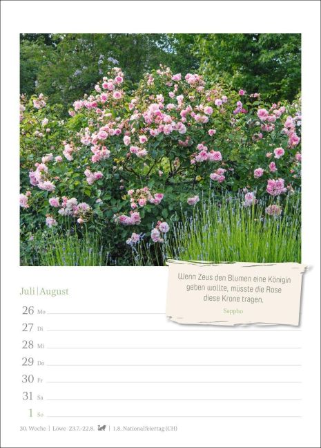 InsideView 10