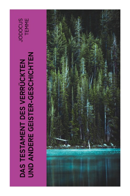 Das Testament des Verrückten und andere Geister-Geschichten - Jodocus Temme