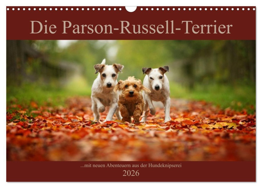 Die Parson-Russell-Terrier ...mit neuen Abenteuern aus der Hundeknipserei (Wandkalender 2026 DIN A3 quer), CALVENDO Monatskalender - Kathrin Köntopp