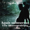 Aquis submersus - Eine Meistererzählung (Ungekürzt) - Theodor Storm