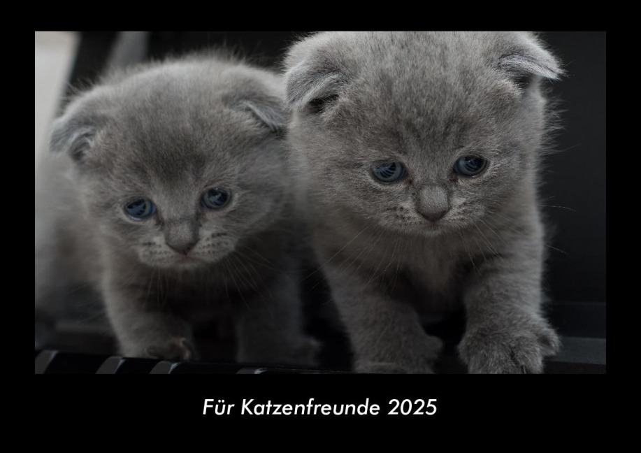 Für Katzenfreunde 2025 Fotokalender DIN A3 - Tobias Becker